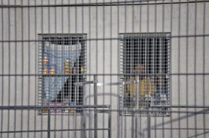 Des détenus sont photographiés dans leur cellule, le 04 février 2010 à la Maison d'arrêt de Lyon-Corbas à Lyon. Destinée à remplacer les maisons d'arrêt de Perrache et de Montluc, la maison d'arrêt de Lyon-Corbas, mise en service en mai 2009, peut acceuillir 690 personnes détenues dont 60 places pour les femmes et 30 places dhébergement au service médico-psychologique régional. AFP PHOTO JEAN-PHILIPPE KSIAZEK